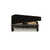 DEXIBELL Vivo H10 MG Noir brillant 