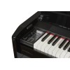 DEXIBELL Vivo H10 MG Nero Lucido 