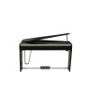 DEXIBELL Vivo H10 MG Noir brillant 