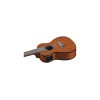 Uku Duo Ukulele Concert Eq