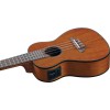 Uku Duo Ukulele Concert Eq