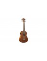 Uku Duo Ukubass Fretless Eq