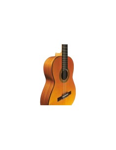 Vibra 300 Natural 2