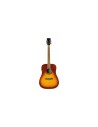 One D EQ Vintage Burst
