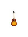 One D EQ Vintage Burst