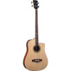 NXT B100ce Natural