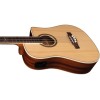 NXT B100ce Natural