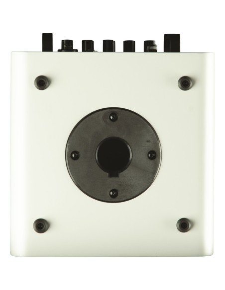 EAmp Eclectic Amp