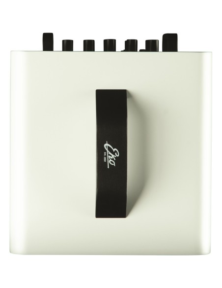 EAmp Eclectic Amp