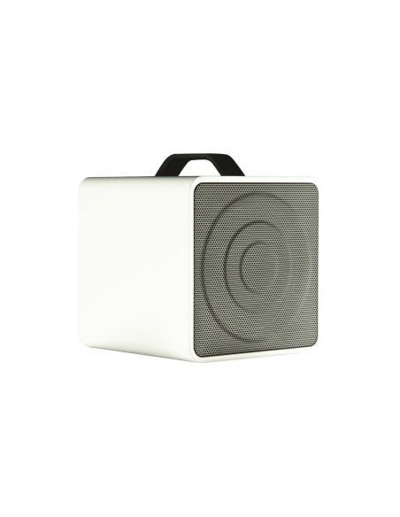 EAmp Eclectic Amp