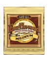 Ernie Ball 2002 - Earthwood Medium 13-56