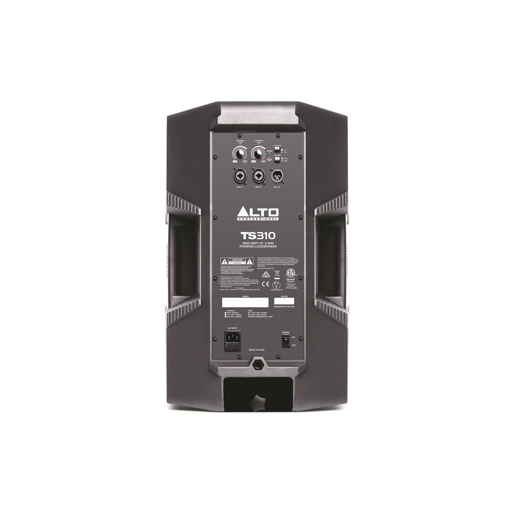 TS310
