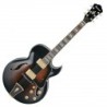 Halbakustische Gitarren