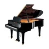 Acoustic Pianos