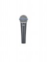 Voice